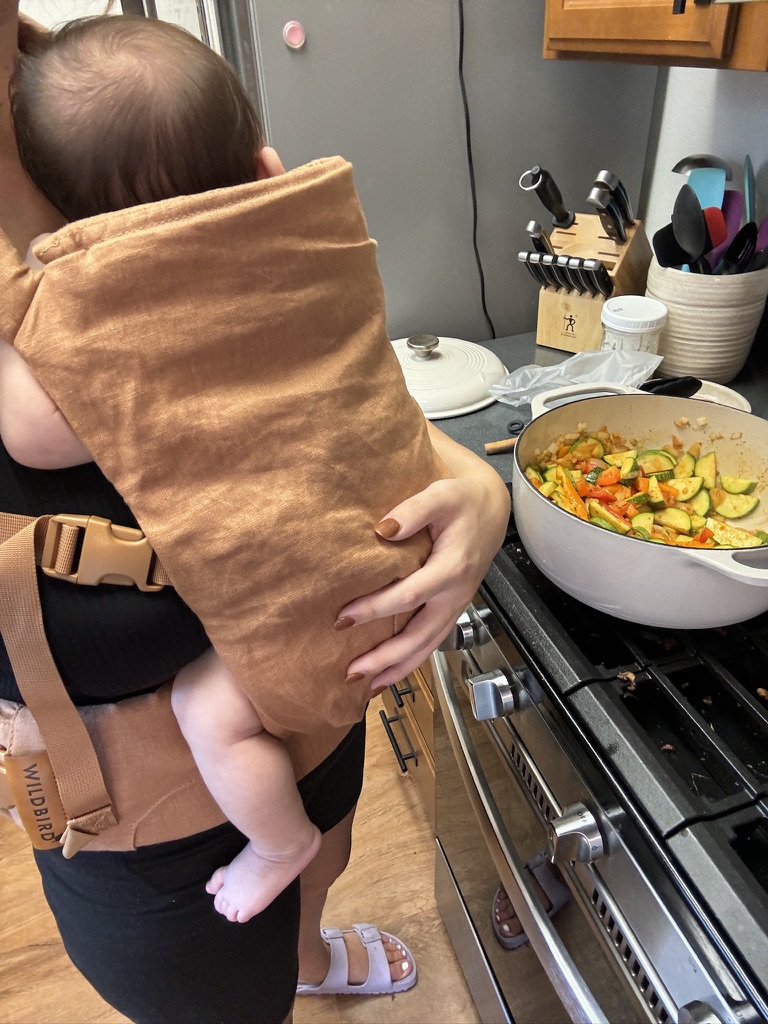 Why We Chose the WildBird Aerial Baby Carrier (and Still Love It Months Later)