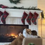 Stocking Stuffers for One Year Old (Mom-Approved Ideas for Baby’s First Christmas)
